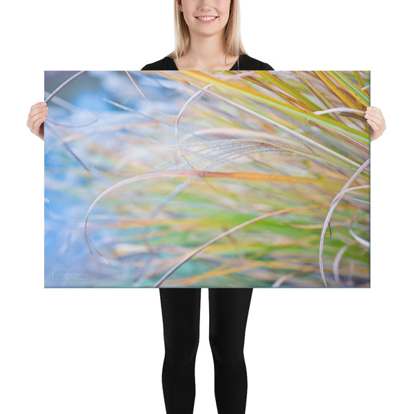 Field of Dreams #1  - Canvas Print (24X36 inches)